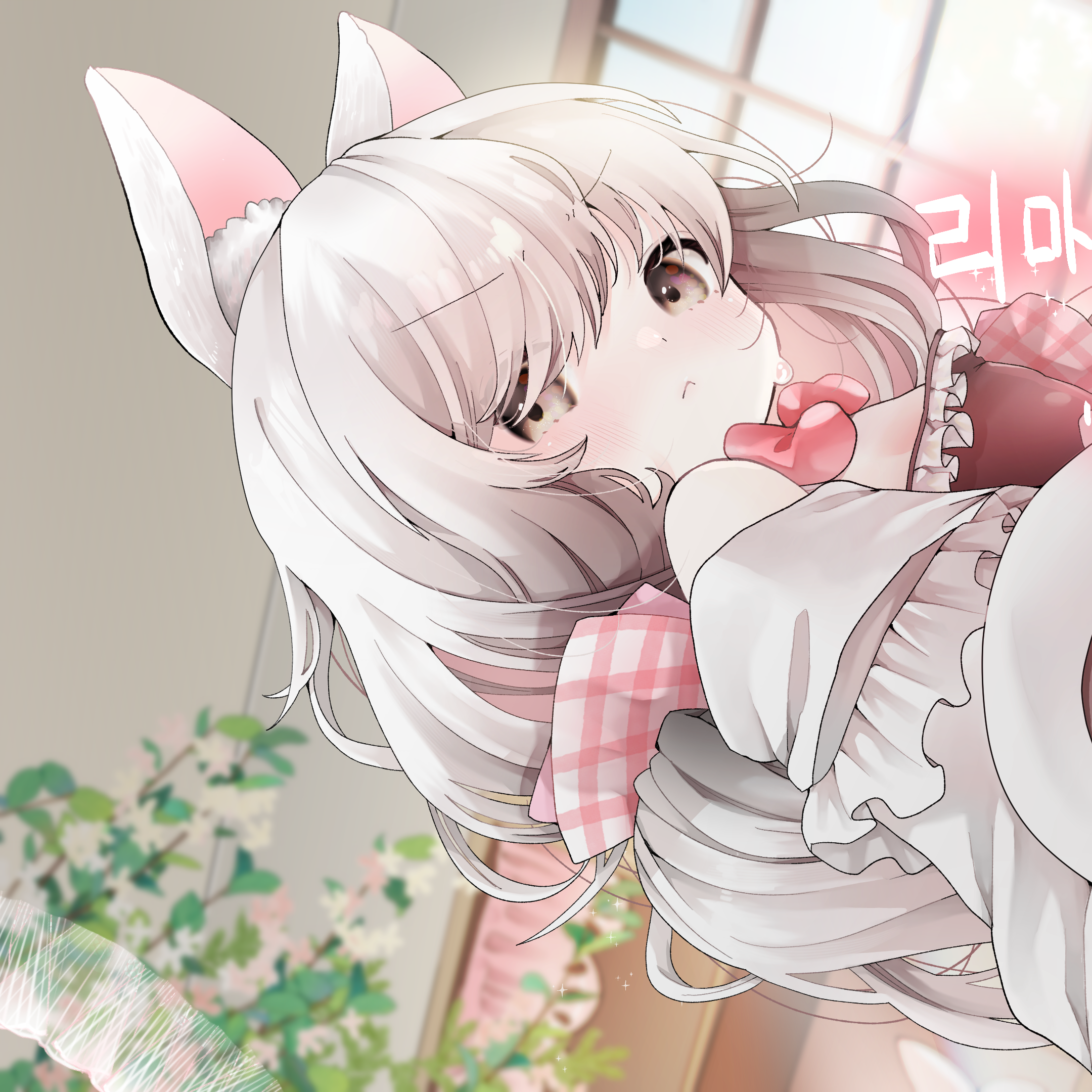 리마파트로나 thumbnail